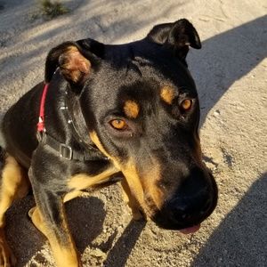 Meet your Posher, Stephen